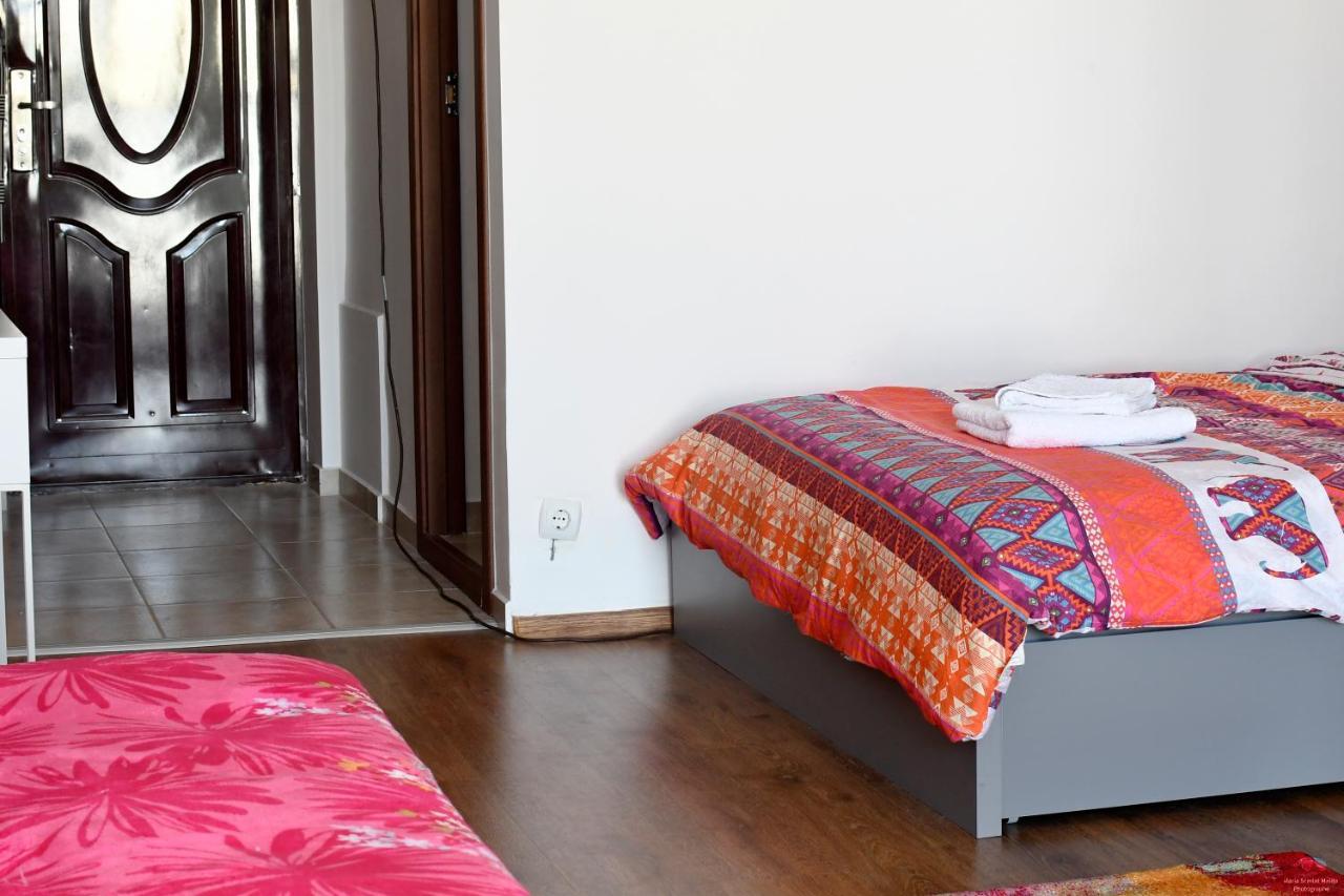 Apartment Lovely 1 Bedroom With Free Street Parking
